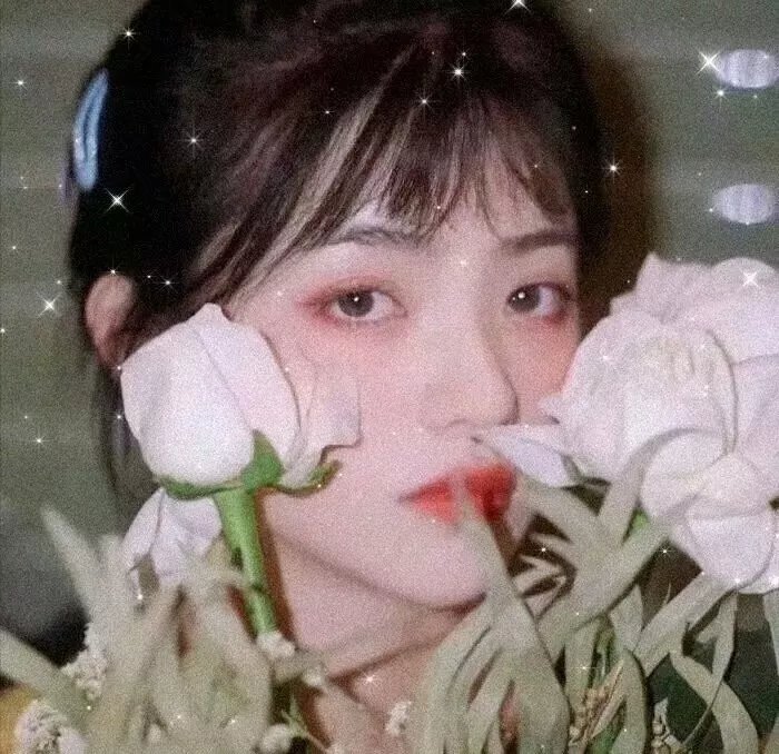 小小羊儿要回家